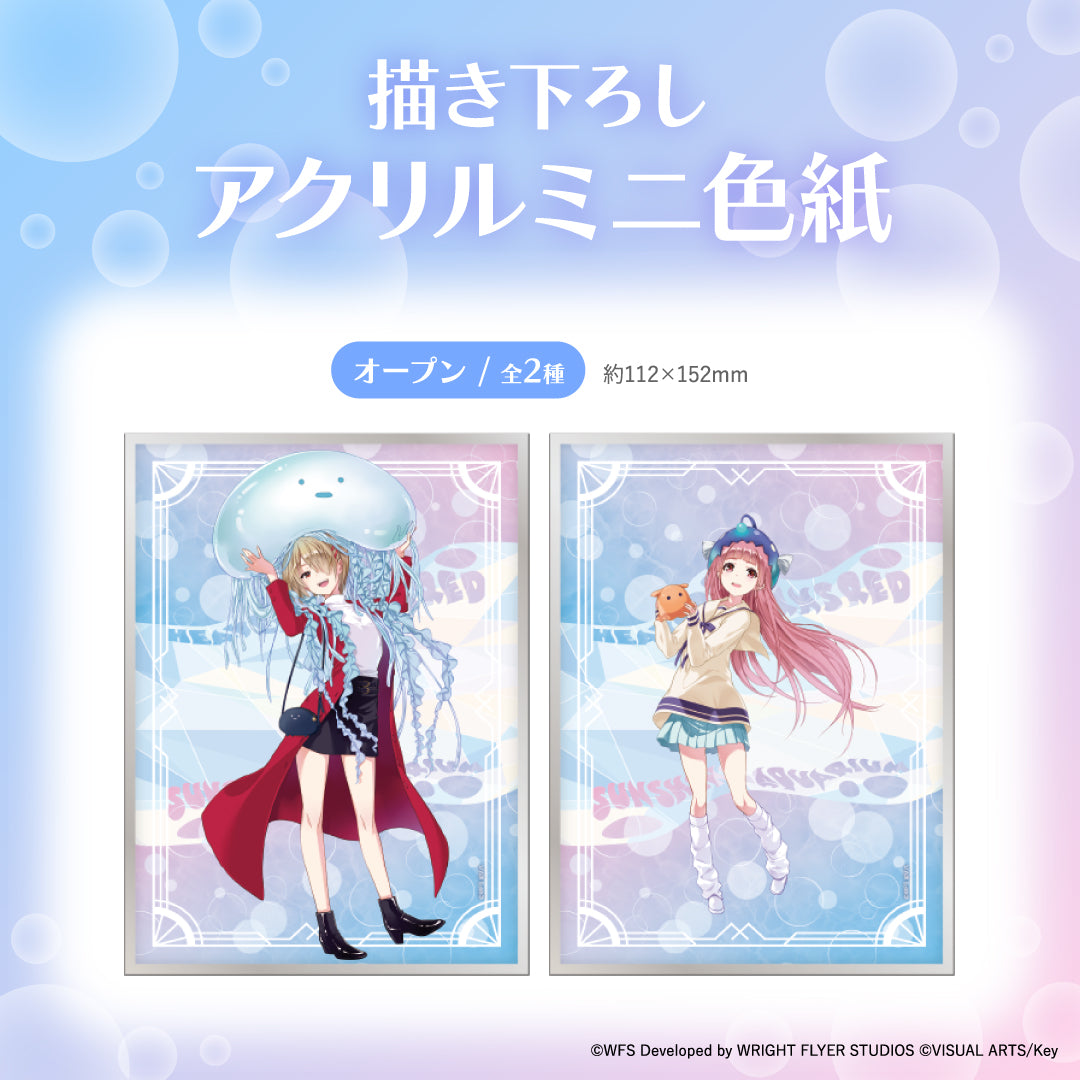 【サンシャイン水族館×ヘブンバーンズレッド】描き下ろしアクリルミニ色紙